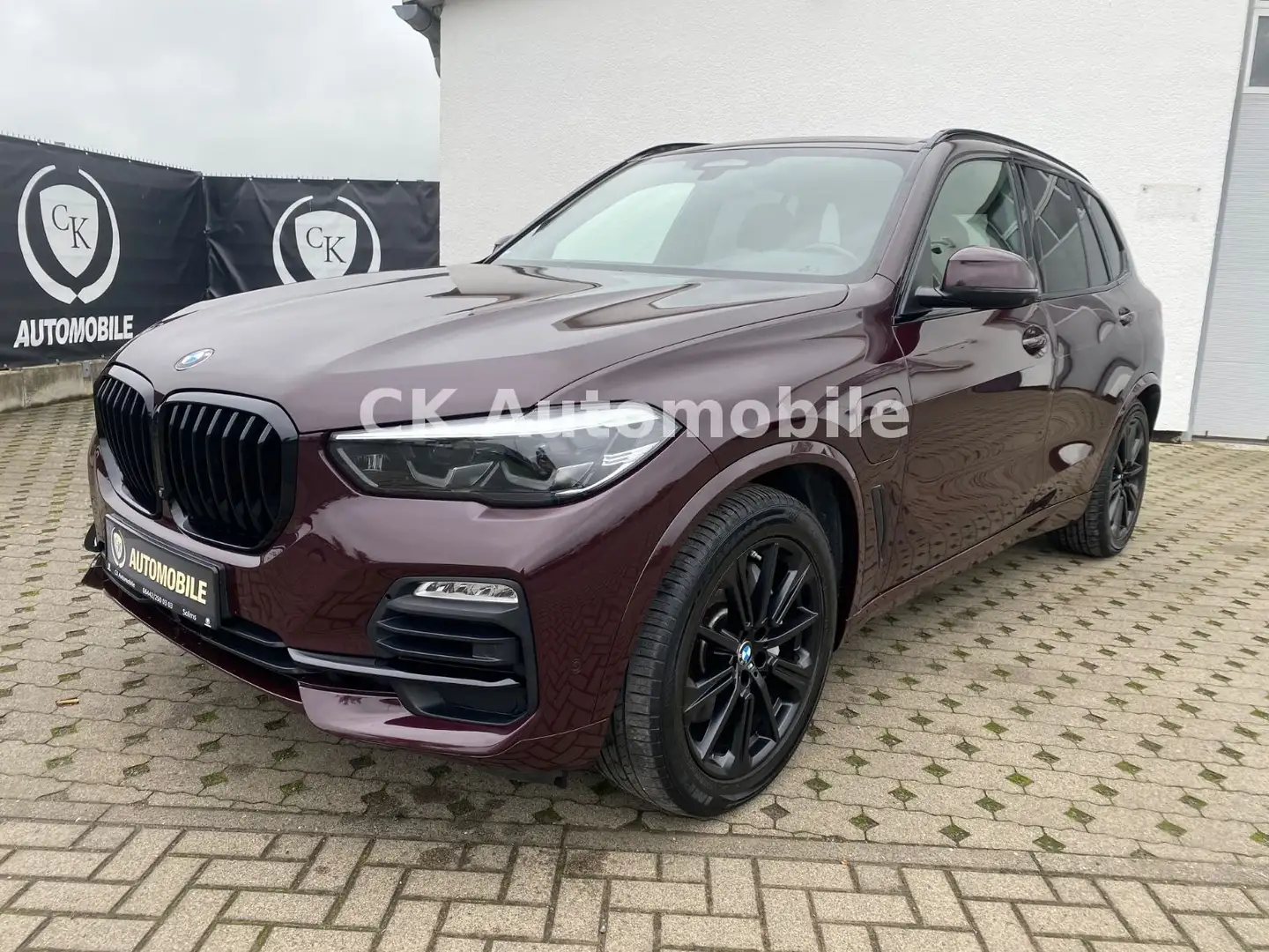 BMW X5 xDrive 45e Individual/HeadUp/360°Kam/LED/AHK Rot - 1