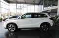 Suzuki Vitara 1.4 S 4x4 Allgrip/LED/KAMERA/PANO/ACC Weiß - thumbnail 9