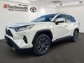 Toyota RAV 4 4 Team Deutschland+ Technik Paket Hybrid 4x2 Weiß - thumbnail 1