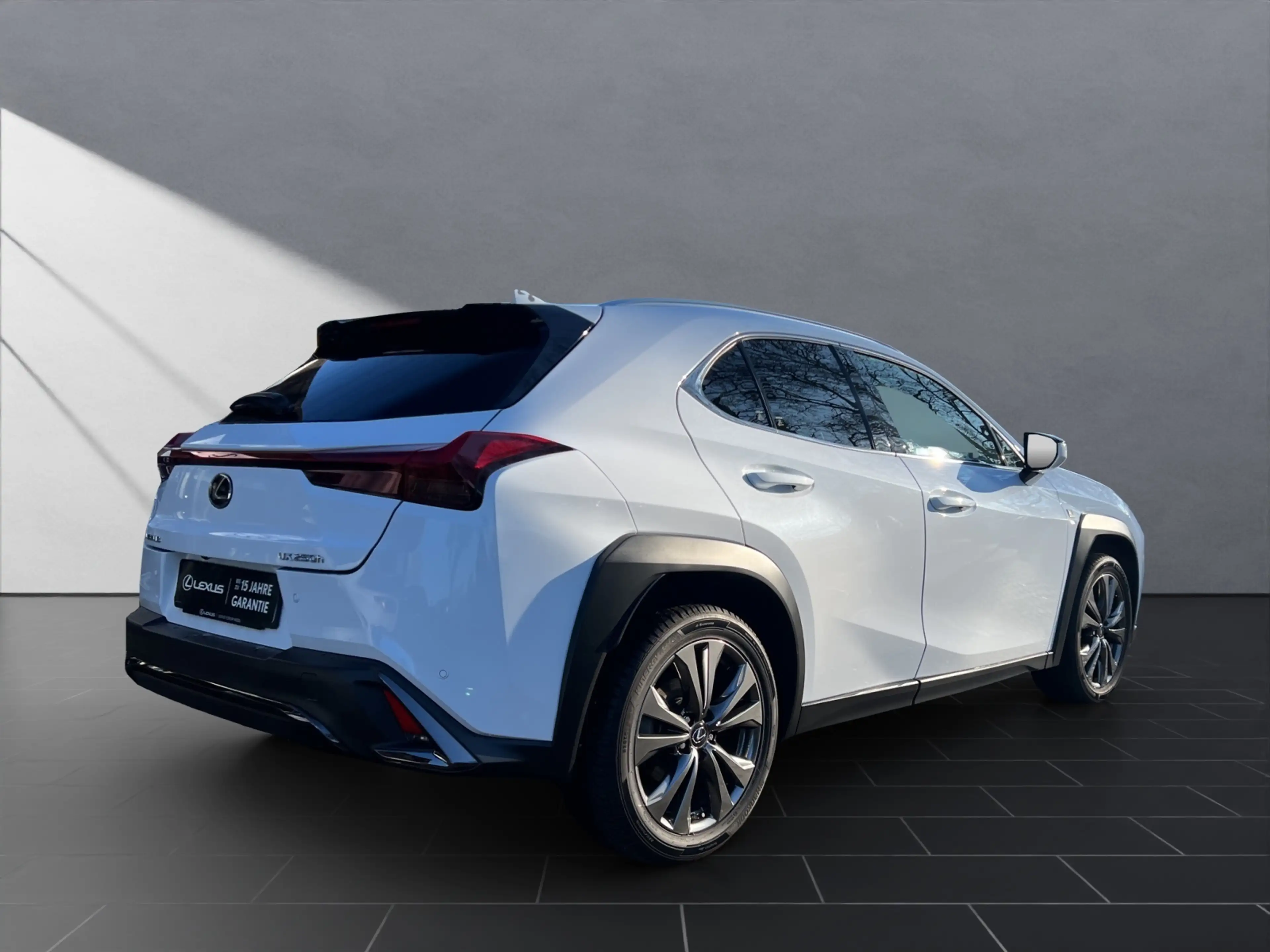Lexus UX 250h 250h*F-Sport D.*1HD*SHZ*NAVI*CARPLAY* — photo 5