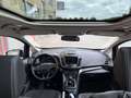 Ford Grand C-Max 1.0 Titanium, Pannoramadak, Nieuwe Distributieriem - thumbnail 15