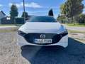 Mazda 3 Selection Weiß - thumbnail 3