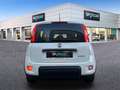 Fiat Panda 1.0 Gse Hybrid Blanc - thumbnail 4