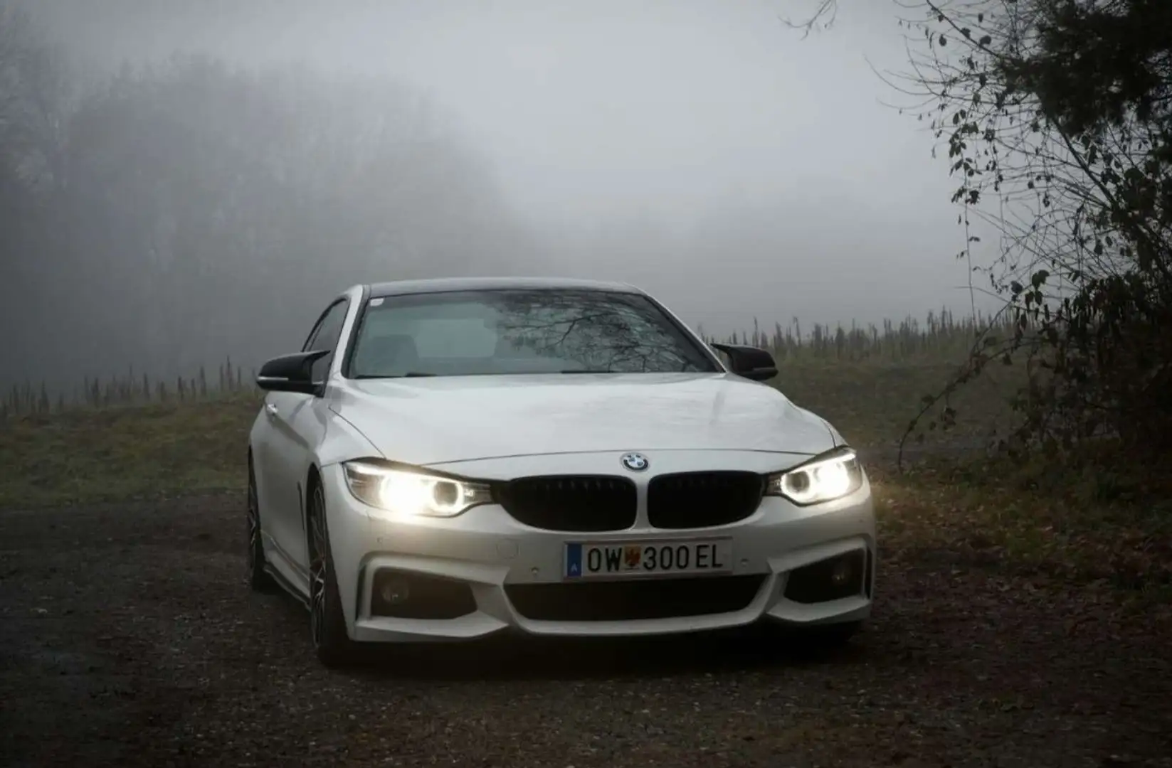 BMW 430 430dA Coupé M-Sport Edition - 1
