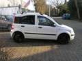 Fiat Panda 1.1 Active Plus 174 d km stuurber APK Blanc - thumbnail 5