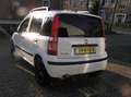 Fiat Panda 1.1 Active Plus 174 d km stuurber APK Blanc - thumbnail 20