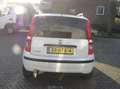 Fiat Panda 1.1 Active Plus 174 d km stuurber APK Blanc - thumbnail 19