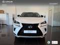 Lexus NX 300 300h Premium 2WD Weiß - thumbnail 4