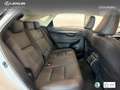 Lexus NX 300 300h Premium 2WD Weiß - thumbnail 7