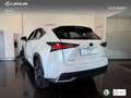 Lexus NX 300 300h Premium 2WD Weiß - thumbnail 15