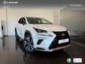 Lexus NX 300 300h Premium 2WD Weiß - thumbnail 13