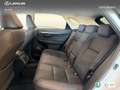Lexus NX 300 300h Premium 2WD Weiß - thumbnail 17