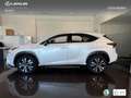 Lexus NX 300 300h Premium 2WD Weiß - thumbnail 14