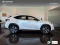 Lexus NX 300 300h Premium 2WD Weiß - thumbnail 3