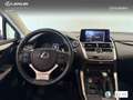 Lexus NX 300 300h Premium 2WD Weiß - thumbnail 12