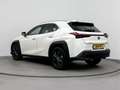 Lexus UX 300h Urban Line | Parkeersensoren | Adaptive Cruise | C Wit - thumbnail 12