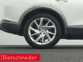 CUPRA Formentor 1.4 TSI DSG e-Hybrid AHK KAMERA LED SHZ Weiß - thumbnail 28