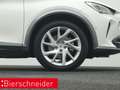 CUPRA Formentor 1.4 TSI DSG e-Hybrid AHK KAMERA LED SHZ Weiß - thumbnail 29