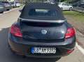 Volkswagen Beetle The Beetle Cabriolet 1.2 TSI CUP Negro - thumbnail 5