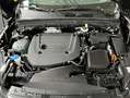 Volvo XC40 XC40 B3 Aut Google-Maps LED Kamera PDCv+h AHK Nero - thumbnail 22