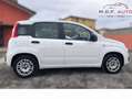 Fiat Panda Panda III 2016 1.2 Lounge easypower Gpl 69cv my19 Bianco - thumbnail 6