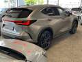 Lexus NX 450h+ Excutive 4x4 Vollleder+Navi+PDC+LED+Navi Beige - thumbnail 6