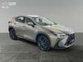 Lexus NX 450h+ Excutive 4x4 +Vollleder+Navi+PDC Beige - thumbnail 8