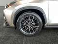 Lexus NX 450h+ Excutive 4x4 Vollleder+Navi+PDC+LED+Navi Beige - thumbnail 15