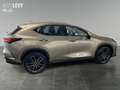 Lexus NX 450h+ Excutive 4x4 +Vollleder+Navi+PDC Beżowy - thumbnail 7