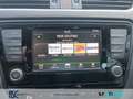 Skoda Octavia JOY/BiXenon/2Zonenklima/EPH/Sitzh/Tempomat/Bluetoo Schwarz - thumbnail 15