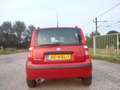 Fiat Panda 1.2 Edizione Cool Airco NIEUWE APK Rood - thumbnail 6