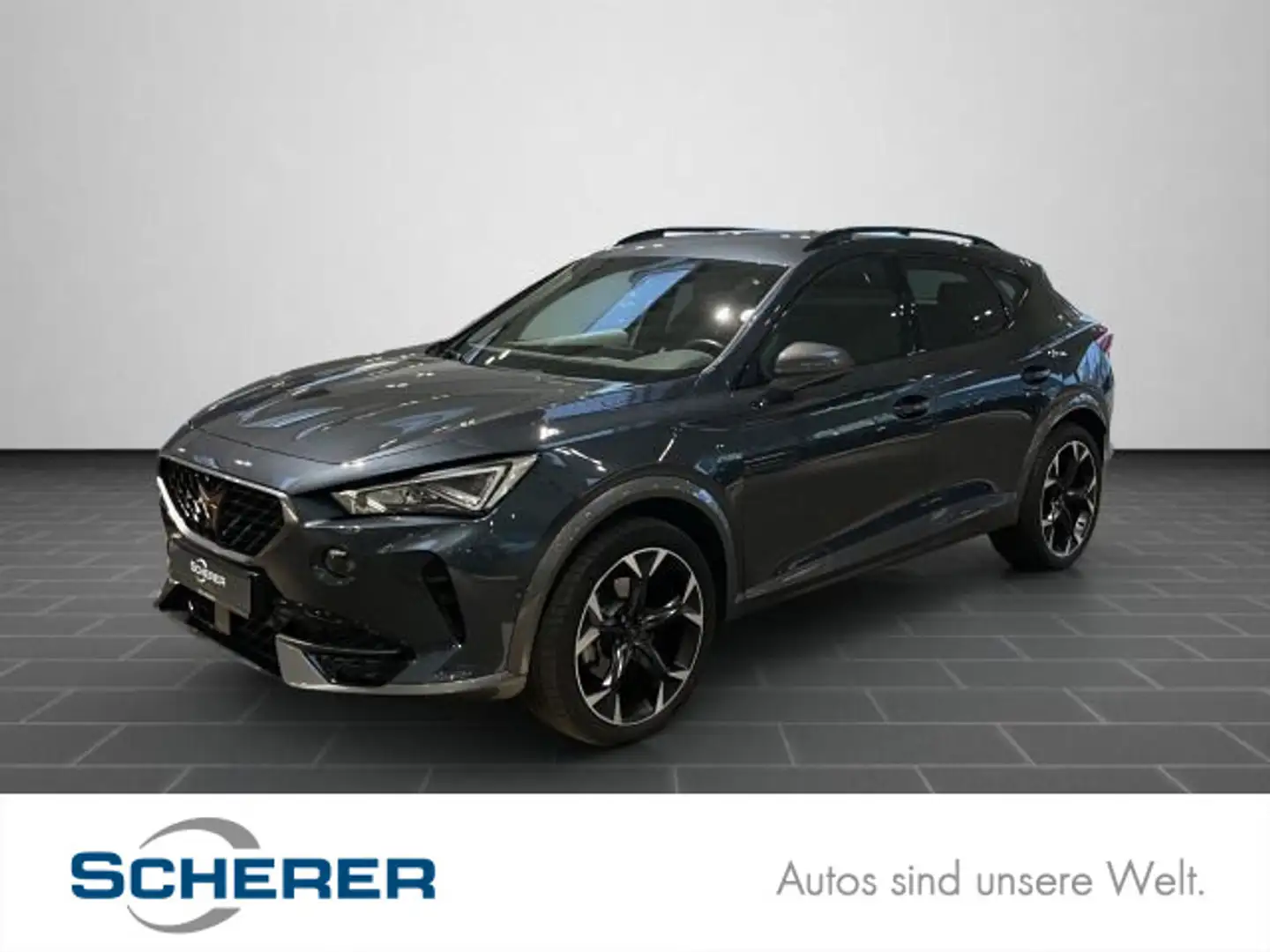 CUPRA Formentor 2.0 TSI DSG 4Drive AHK Navi Pano RFK P Grau - 1