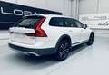 Volvo V90 Cross Country D4 Pro AWD Aut. Blanco - thumbnail 8