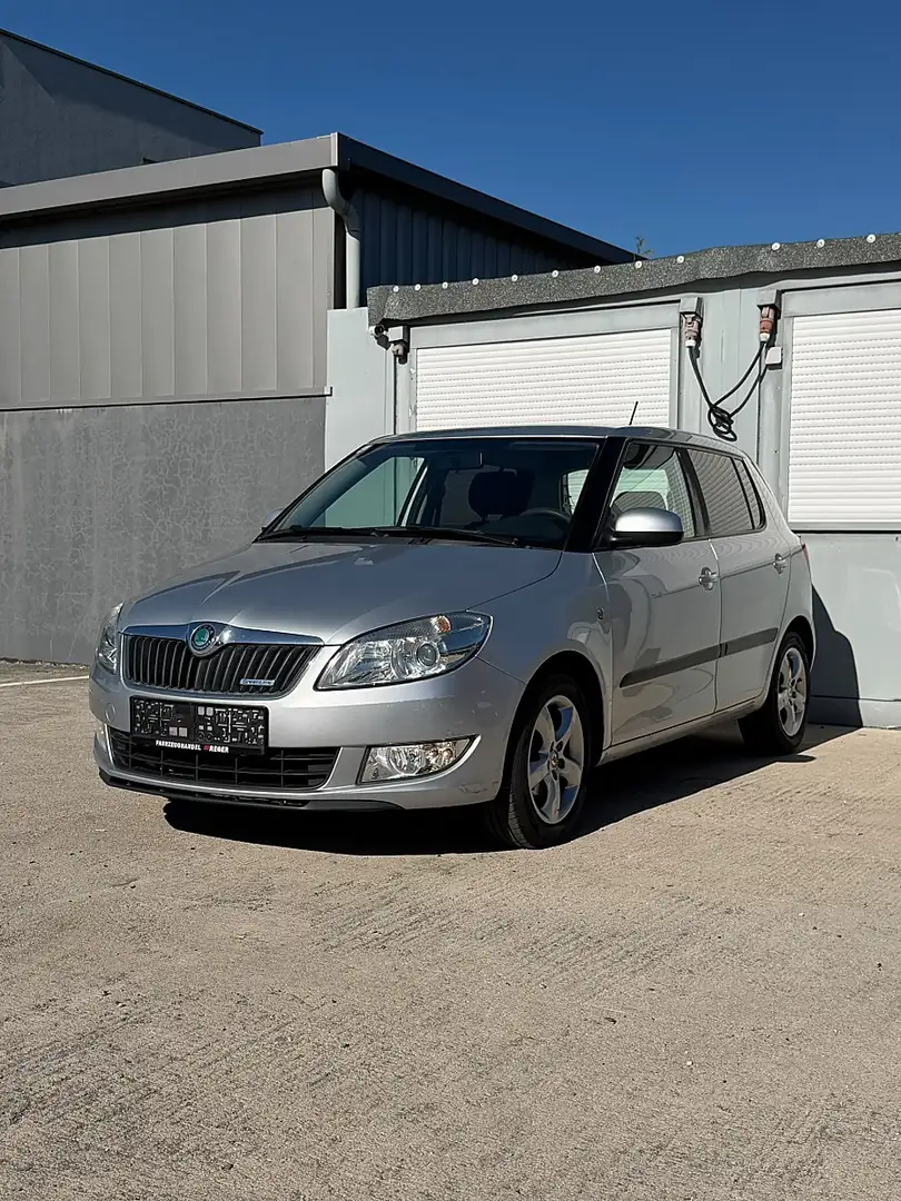 Skoda Fabia GreenLine 1,2 TDI CR DPF Grau - 2