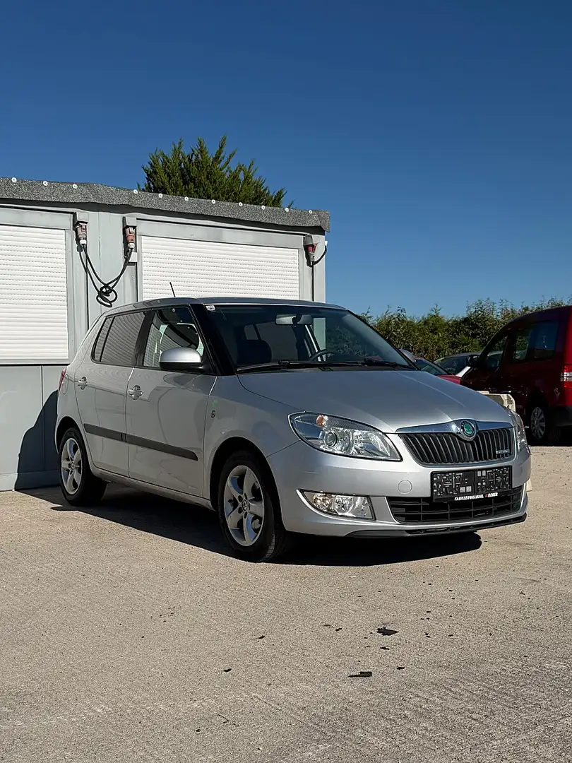 Skoda Fabia GreenLine 1,2 TDI CR DPF Grau - 1