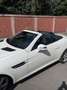 Mercedes-Benz SLK 200 (BlueEFFICIENCY) 7G-TRONIC - thumbnail 4