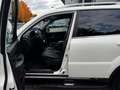 SsangYong Rexton 2.2 Xdi ALLRAD AUTOMATIK |AHK2.6t|7-SITZ| Weiß - thumbnail 14