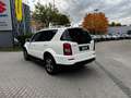 SsangYong Rexton 2.2 Xdi ALLRAD AUTOMATIK |AHK2.6t|7-SITZ| Weiß - thumbnail 8