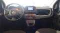 Fiat Panda Panda 1.0 FireFly S&S Hybrid City Life Gris - thumbnail 8