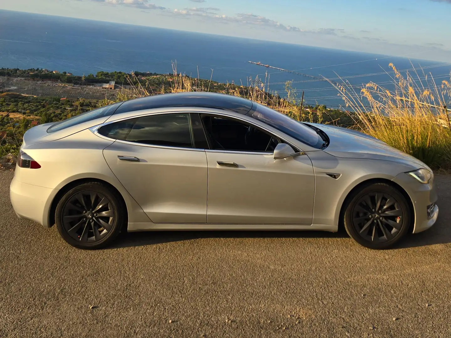 Tesla Model S Model S 75 D Argento - 2