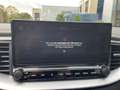 Kia Ceed SW / cee'd SW Sportswagon 1.4 T-GDi ExecutiveLine-Pano-trekhaak Gris - thumbnail 30