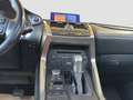 Lexus Sonstige 300 Executive Gris - thumbnail 11