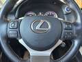 Lexus Sonstige 300 Executive Gris - thumbnail 14