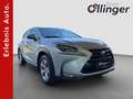 Lexus Sonstige 300 Executive Gris - thumbnail 1