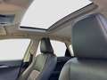 Lexus Sonstige 300 Executive Gris - thumbnail 13