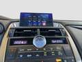 Lexus Sonstige 300 Executive Gris - thumbnail 12