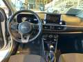 Kia Picanto 1.0 12V GPL 20th Anniversary - PRONTA CONSEGNA Argento - thumbnail 6