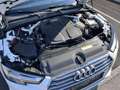 Audi A4 A4 Avant 2,0 TDI exclusive-quattro Sport S-tronic Weiß - thumbnail 14