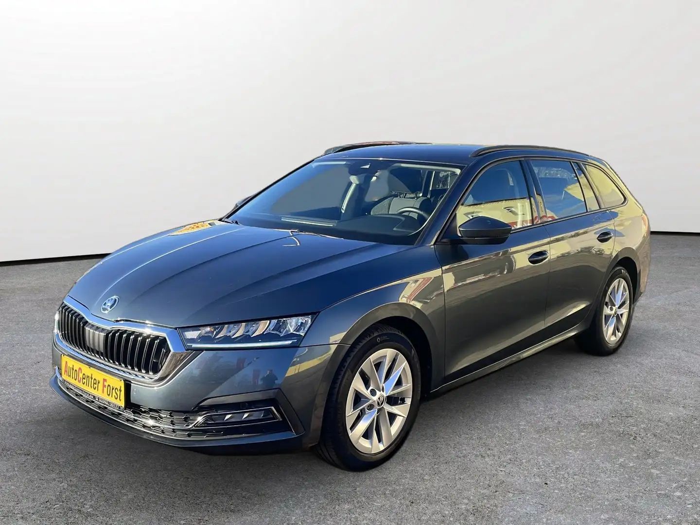 Skoda Octavia Gris - 2