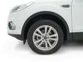 Ford Kuga 1.5 EcoB. Auto S&S Trend+ 4x2 150 Blanc - thumbnail 24